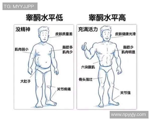 高强度间歇训练如何有效提高脂肪燃烧效率与增肌效果 高强度间歇训练如何有效提高脂肪燃烧效率与增肌效果