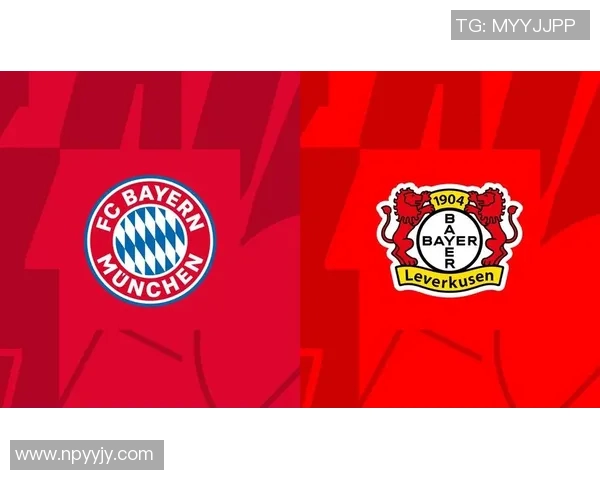 勒沃库森足球俱乐部的辉煌历史与未来发展潜力解析