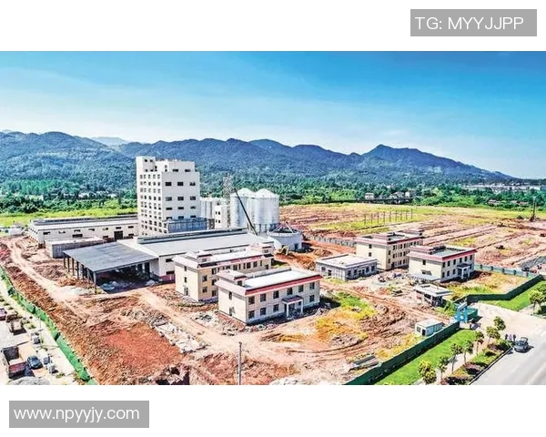 以前锋为中心,探讨现代企业如何通过创新与技术实现突破性发展 以前锋为中心,探讨现代企业如何通过创新与技术实现突破性发展