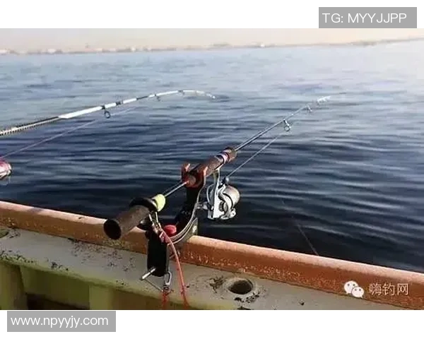 渔具的选择与使用技巧全解析，提升钓鱼体验的必备装备指南