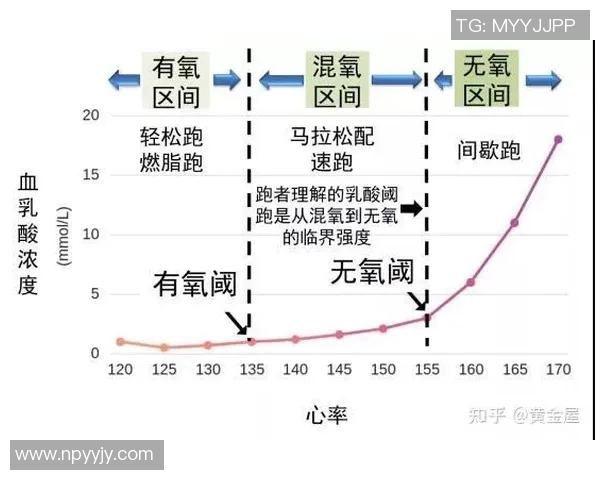 无氧运动的多维解析与科学训练方法探索