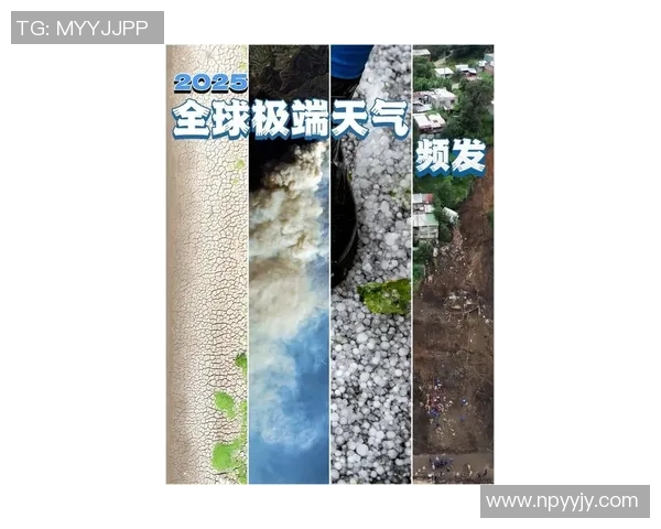 最新研究发现:全球气候变化加剧对生态系统影响严重 预计未来十年环境灾难频发 最新研究发现:全球气候变化加剧对生态系统影响严重 预计未来十年环境灾难频发